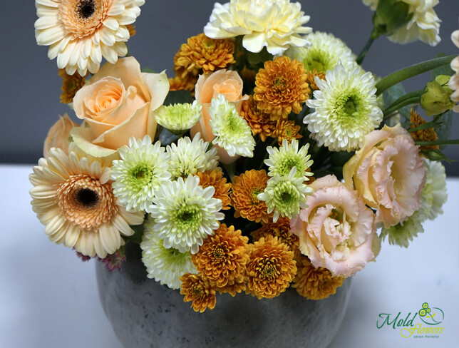 Autumn composition with pumpkin — photo 2